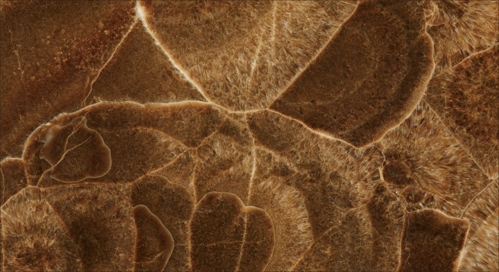 Coke Onyx | Exquisite Onyx Collection - Stone Emporium